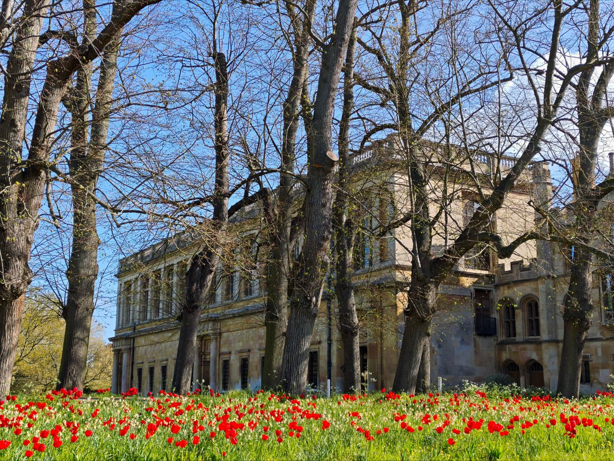 Wizard_Barry tweet media