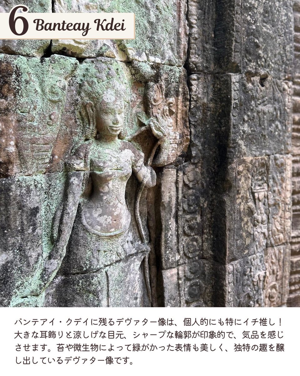 Cambodia Note🇰🇭カンボジア旅行の魅力を発信 tweet media