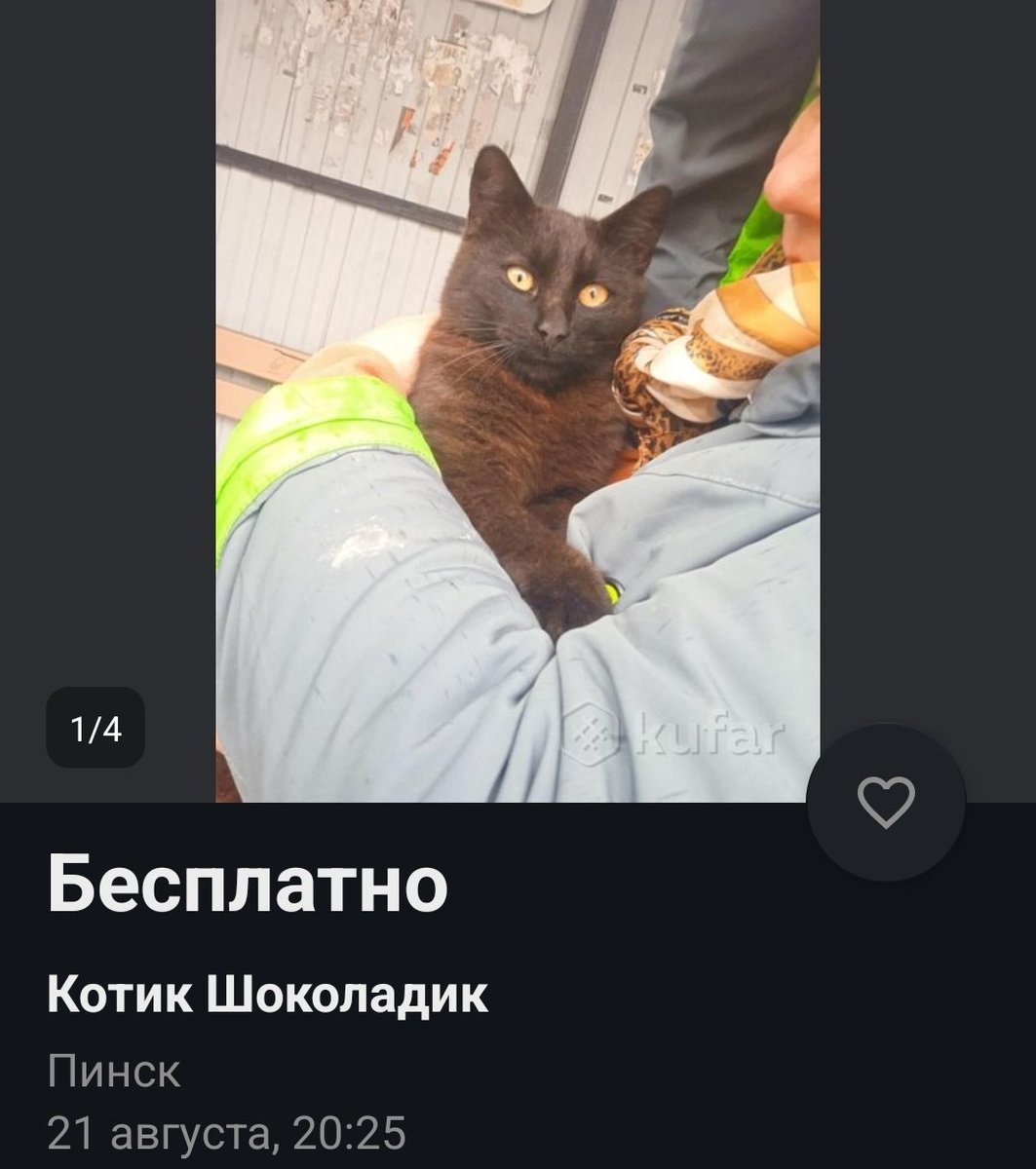 Out of Context K***r tweet media