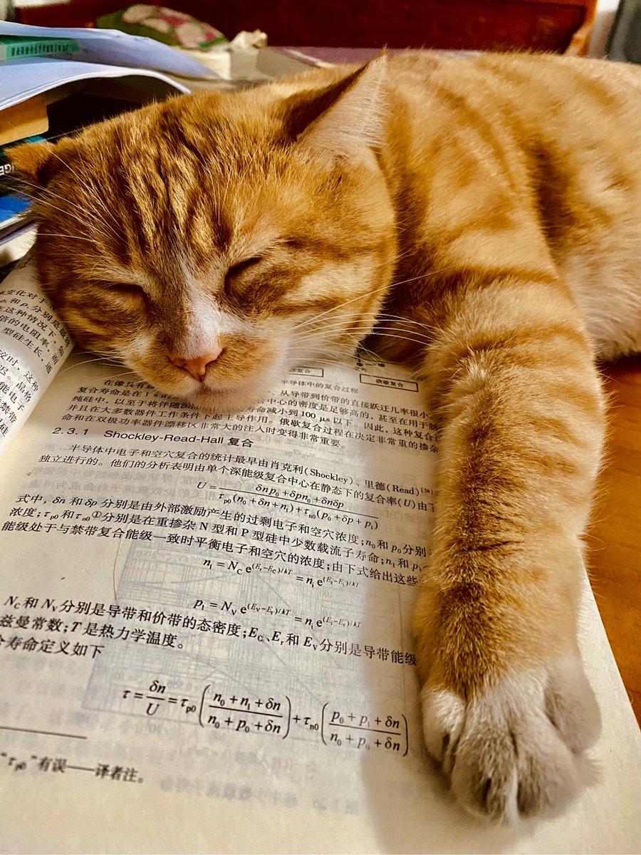 Patrick Blanc tweet media