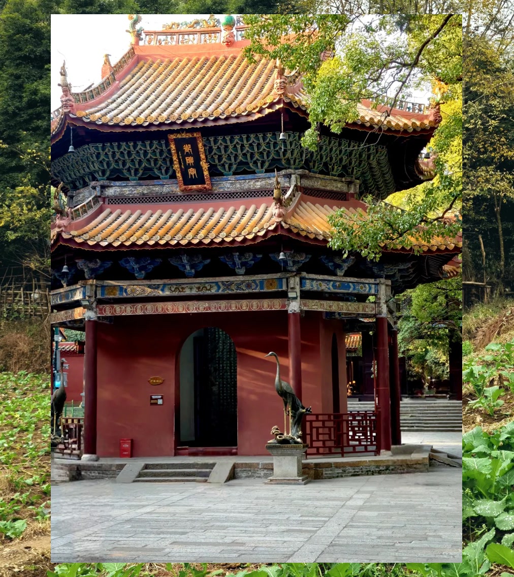 Michael Viswanathan tweet media