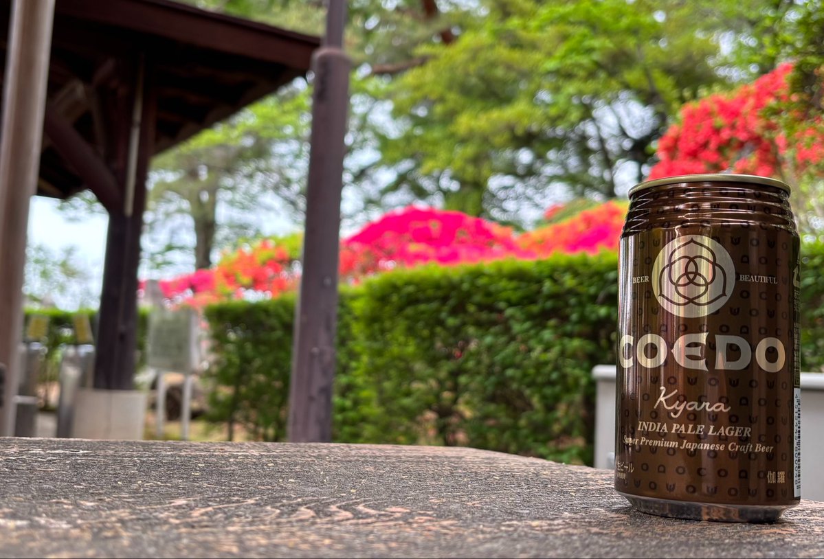 走 れ ぱ か も と 𝕏 tweet media