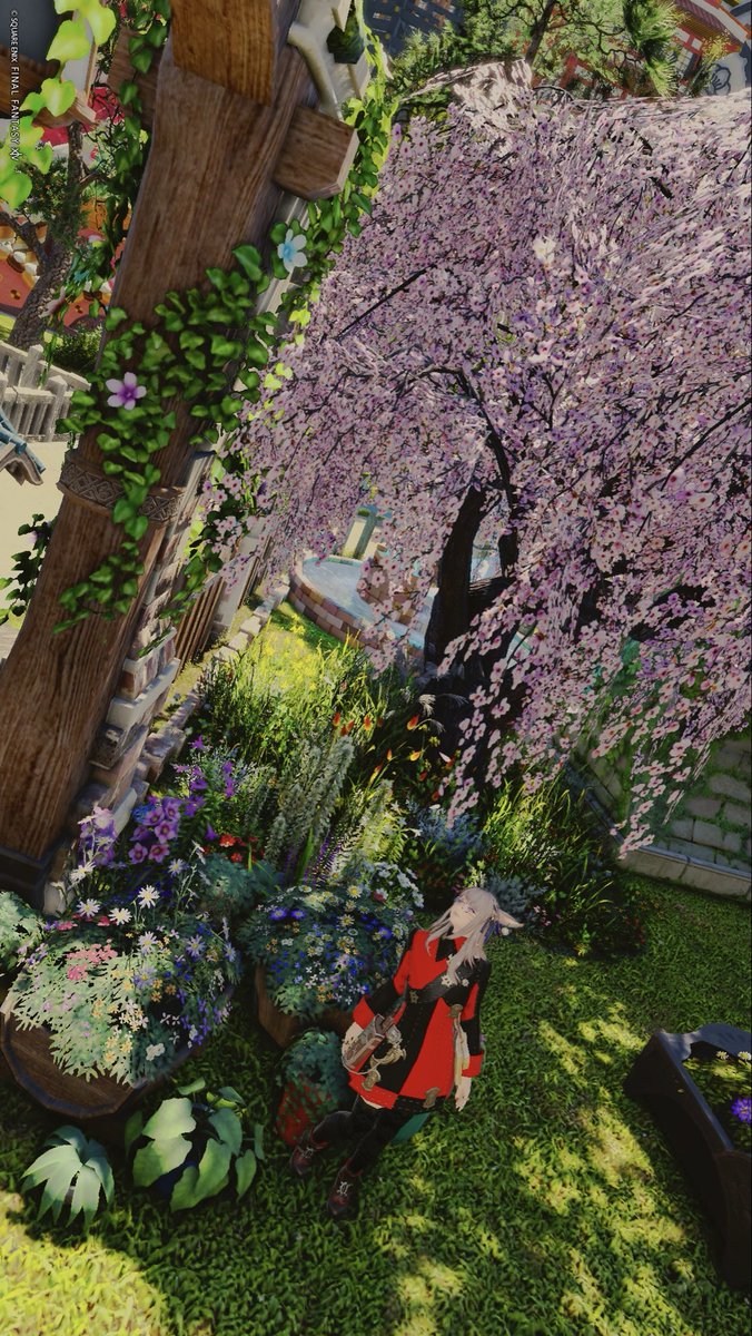 Shizuku@のんびりし過ぎ中 tweet media