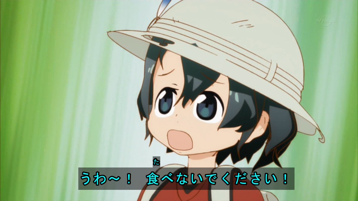 🌧️🐈️ tweet media