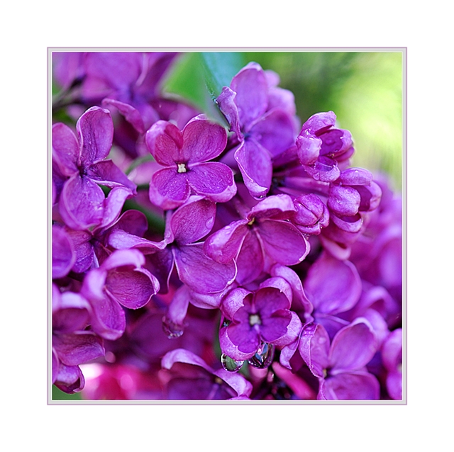 𝐾𝑙𝑎𝑟𝑎 tweet media