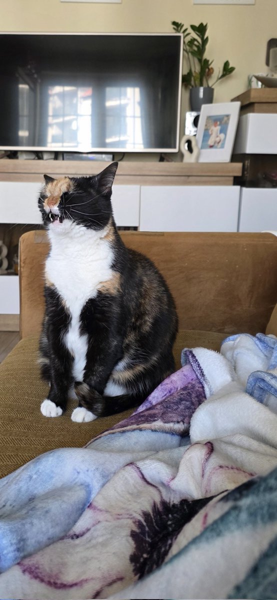 Joanna Cz. tweet media