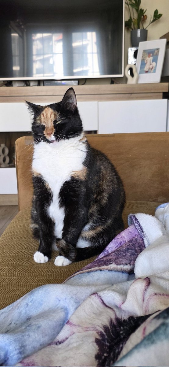 Joanna Cz. tweet media