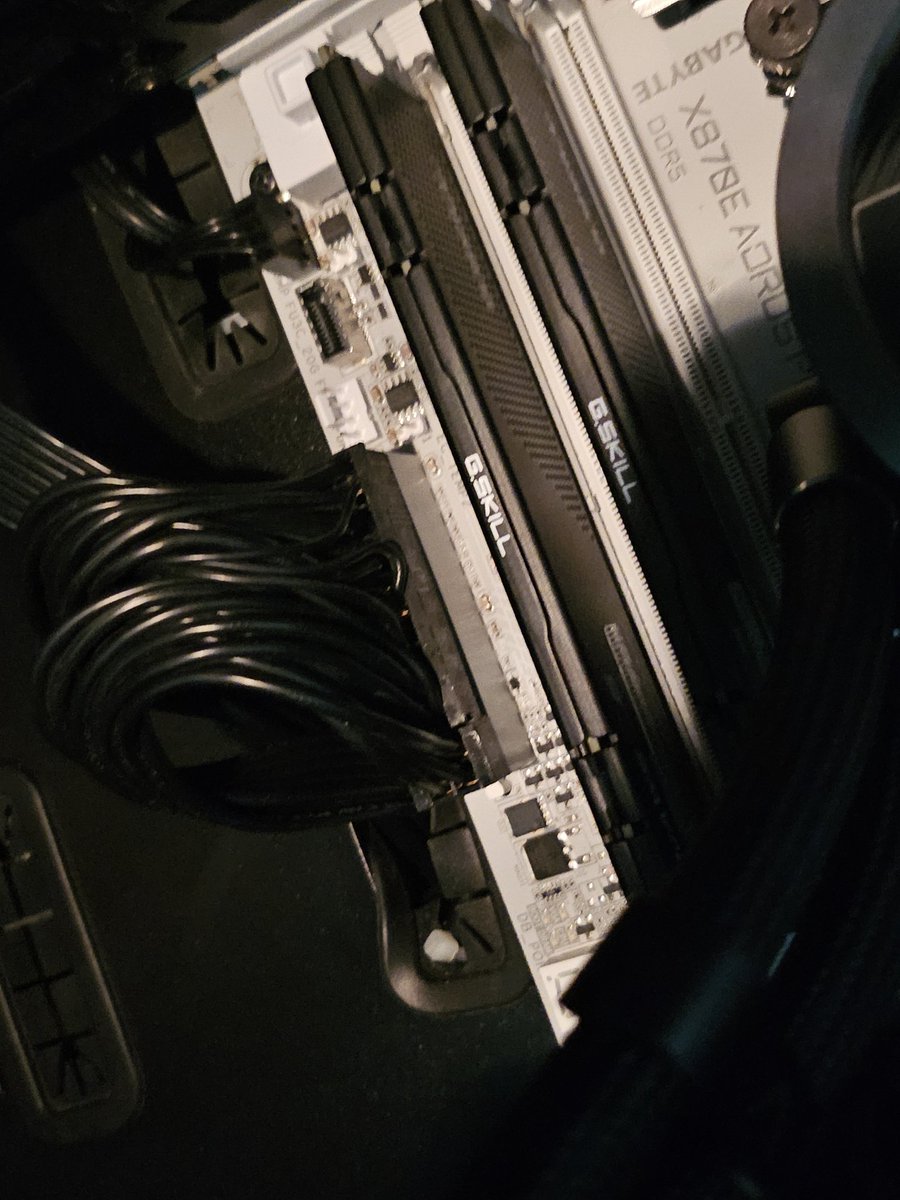 hanuvo_sfw tweet media