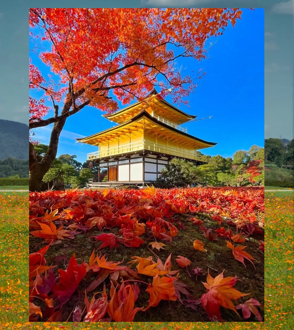 Rodney Russell tweet media