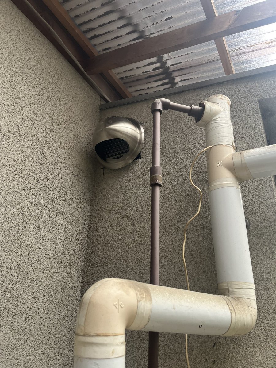 さかな tweet media