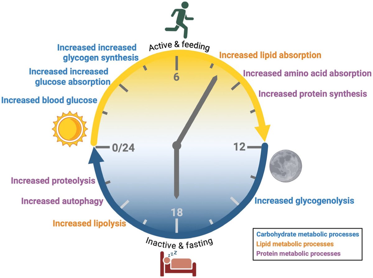 Antonio García-Hermoso tweet media