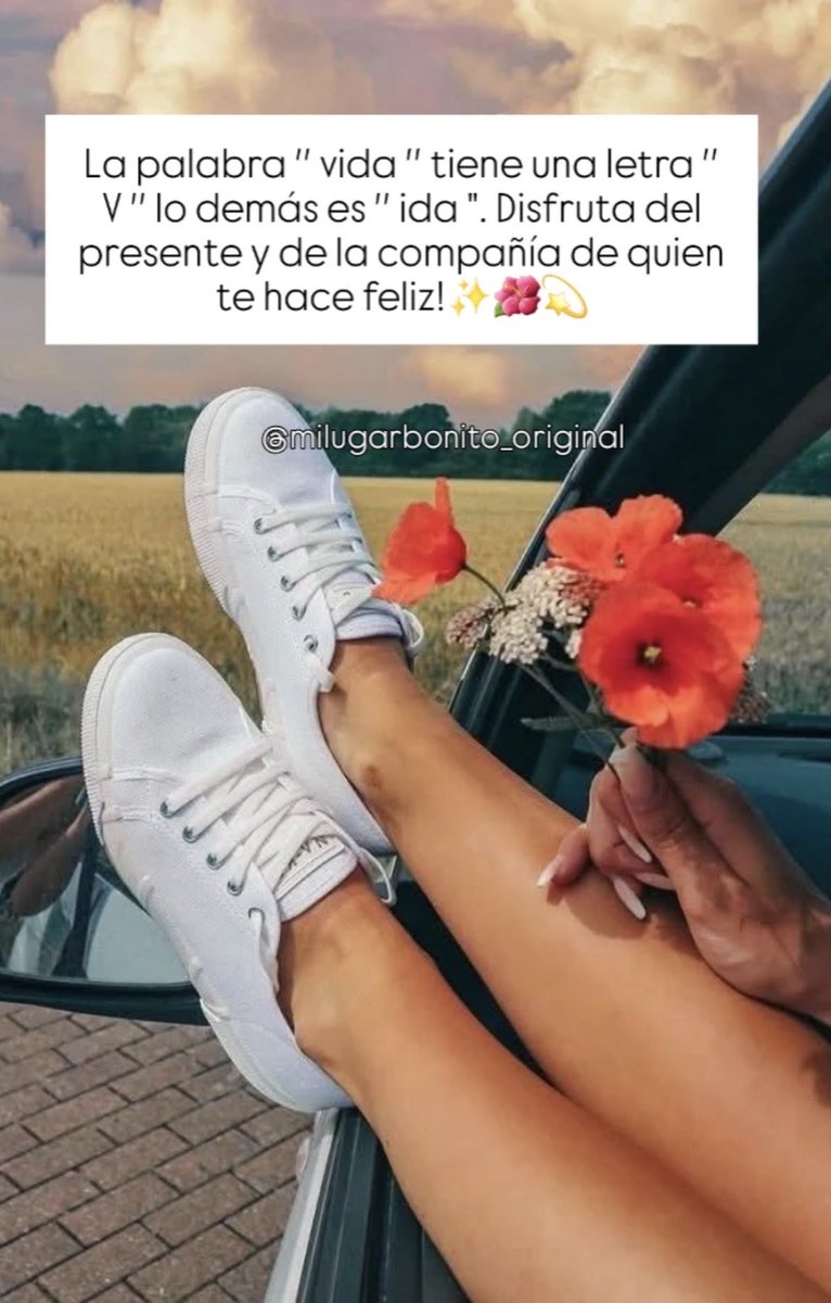 Covadonga tweet media