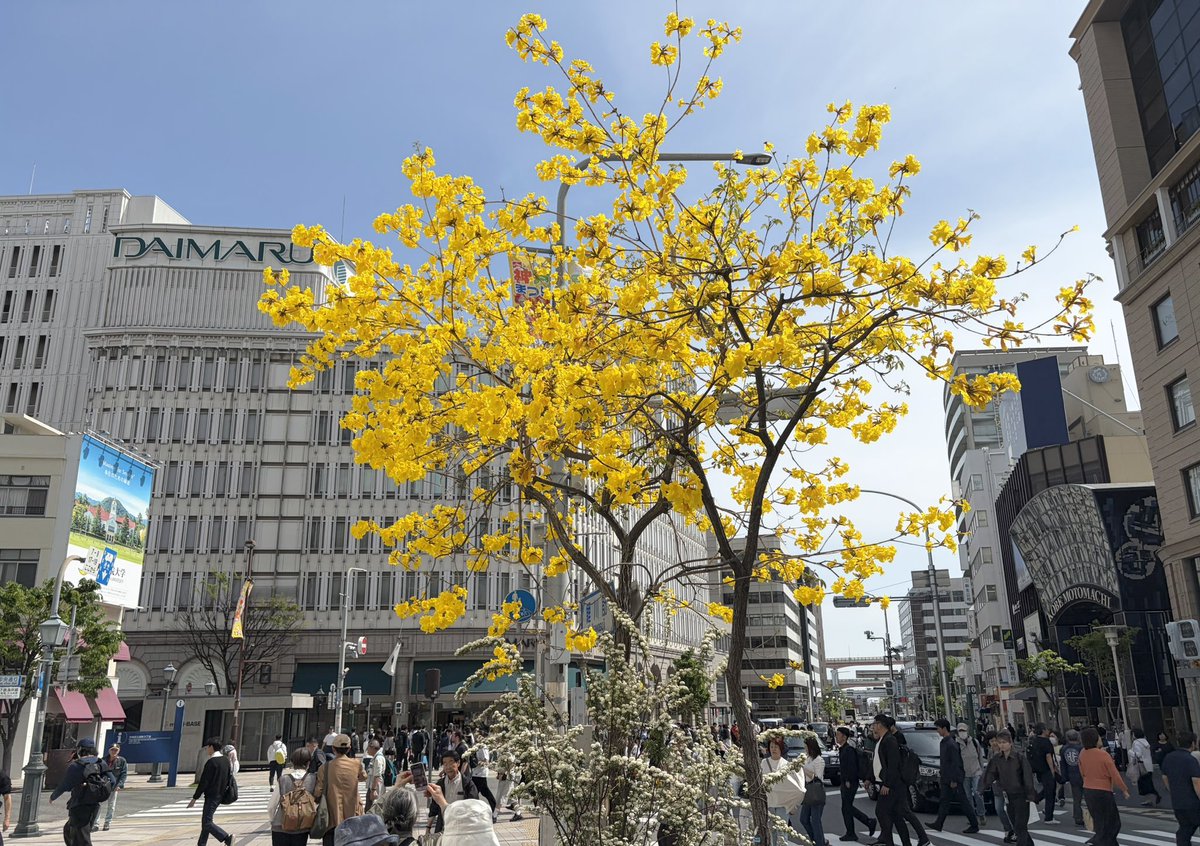 ローカル図鑑 tweet media