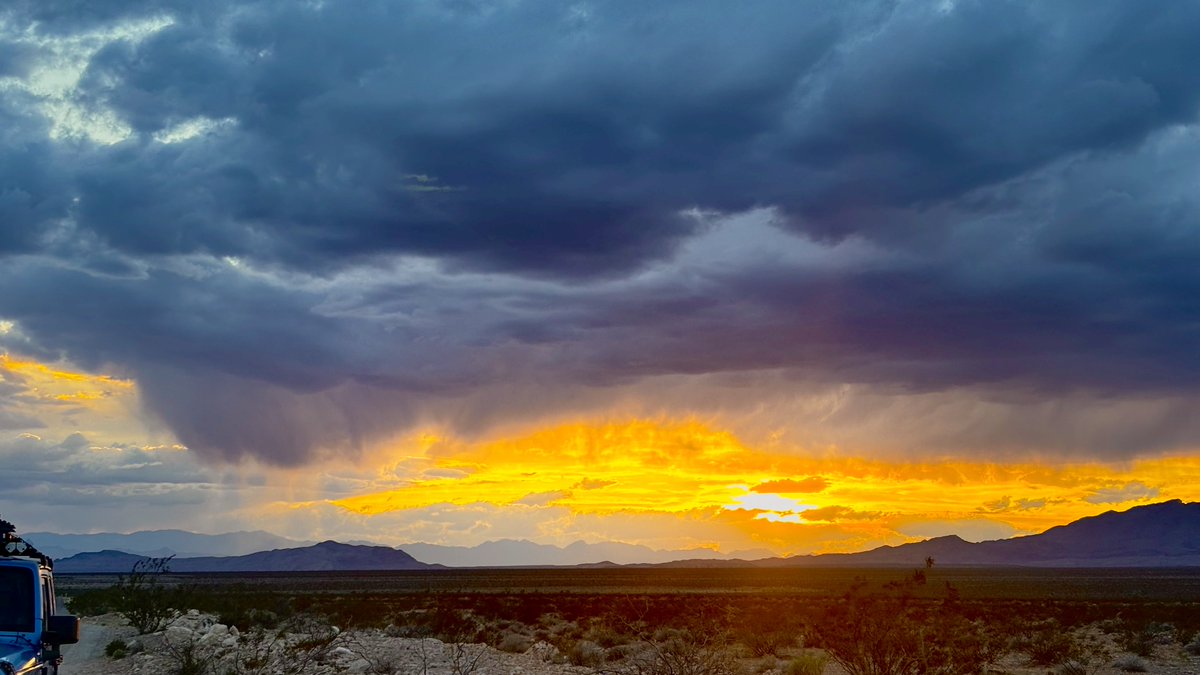 Wonder Wander Way tweet media