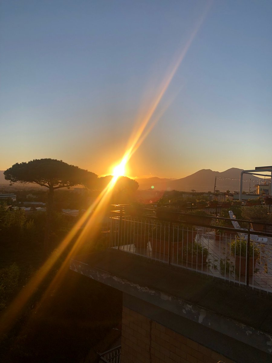 Anna Maria tweet media