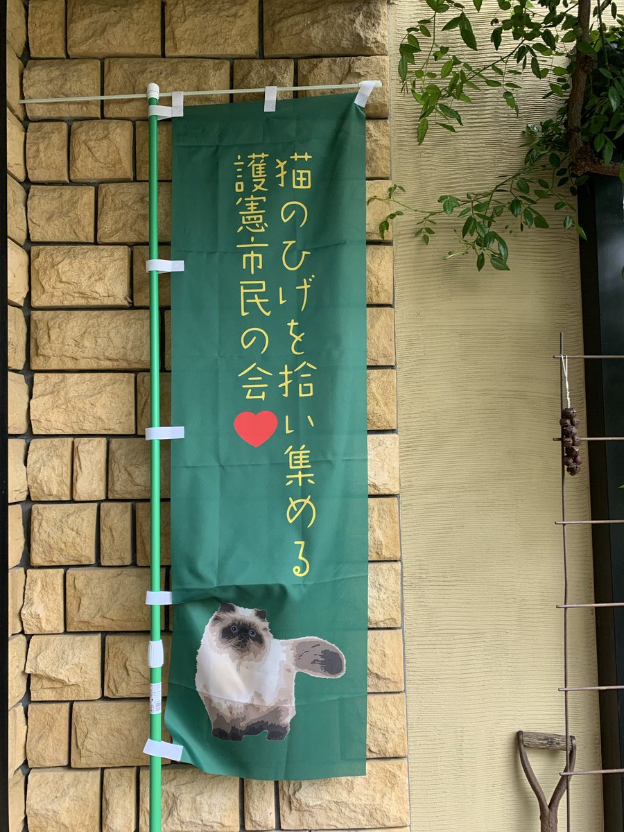 Atsuko S 🍉 tweet media