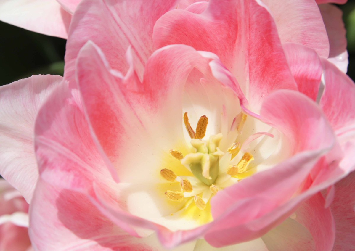 片柳弘史 tweet media