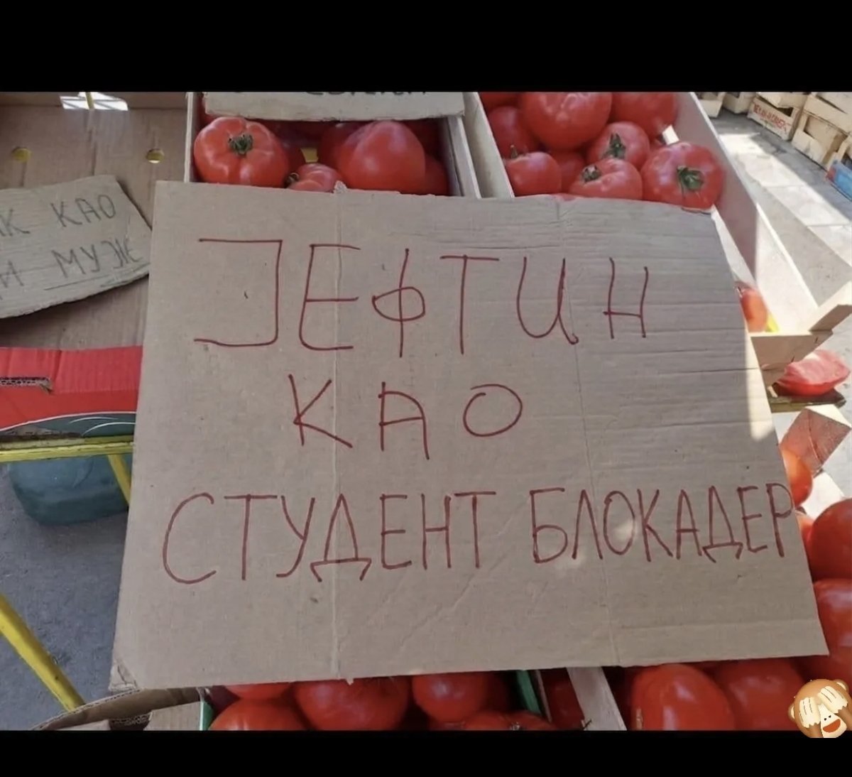 Zvezdana1 tweet media