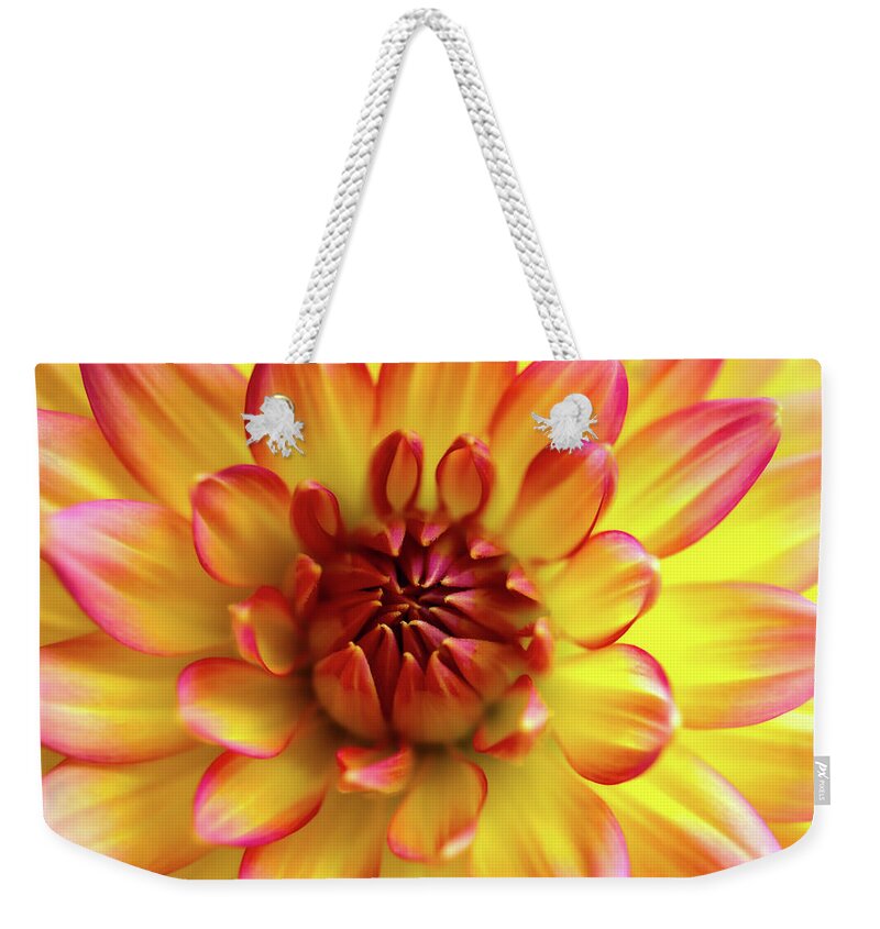 HurmerintaArt's tweet image. Bags with unique flower art printed on both sides. 
Choose from many sizes. 

Welcome to have a look here:
johanna-hurmerinta.pixels.com

#flowers #bags #mothersday #giftideas