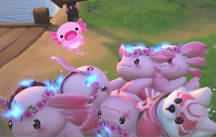 ジャーキー tweet media