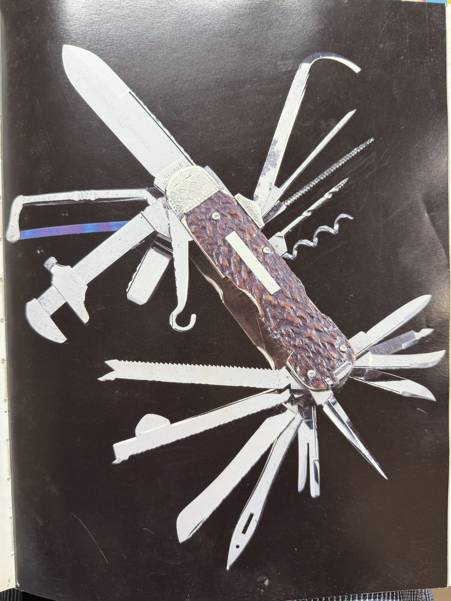 まほ〜 tweet media