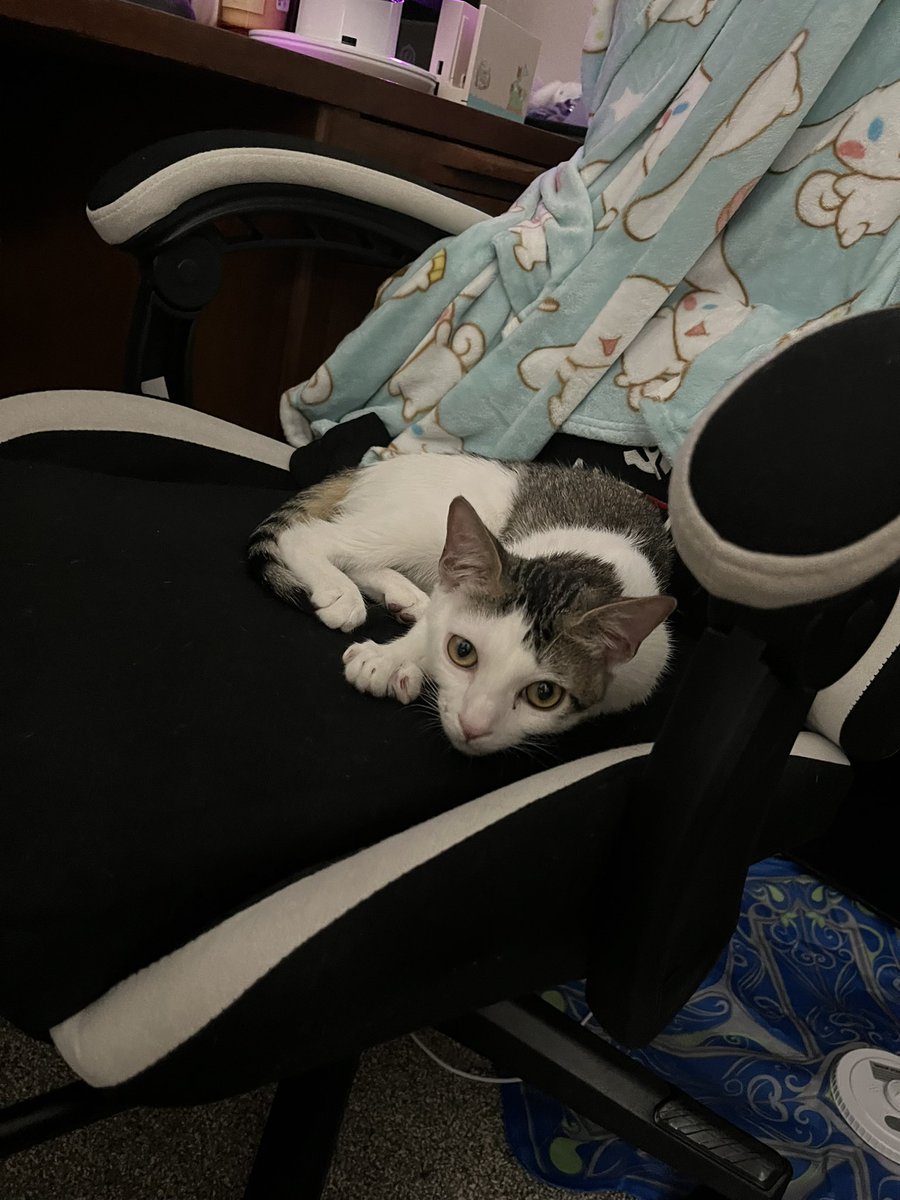 Daily Pixel 🌱 tweet media