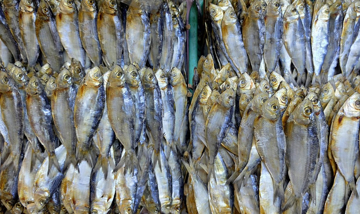 Dried fishes at the newly-refurbished Iloilo City Central public Market.