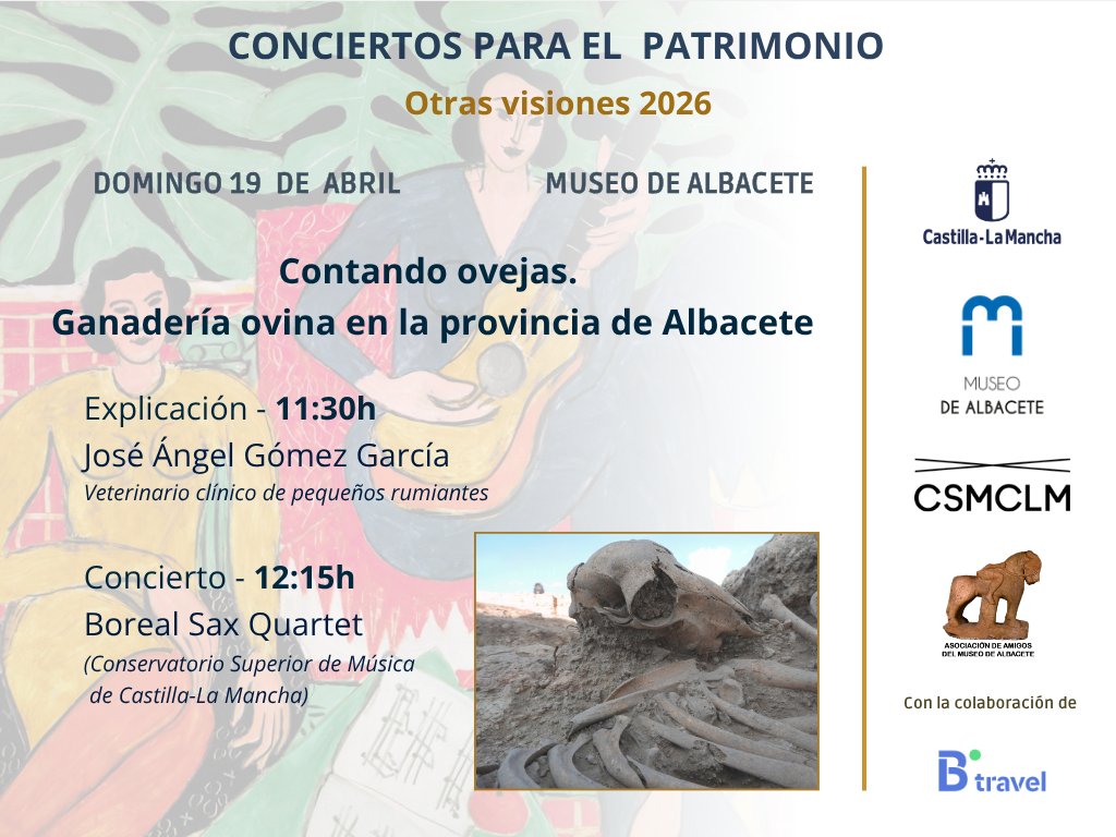 Museo de Albacete tweet media