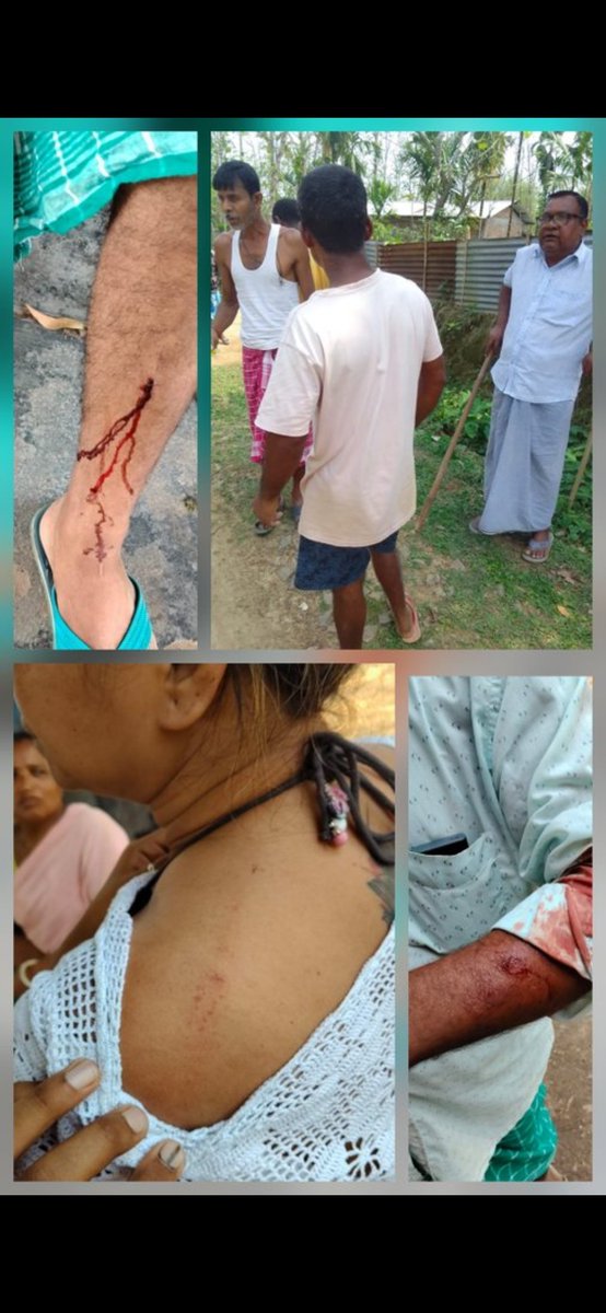 Chimran Borah tweet media