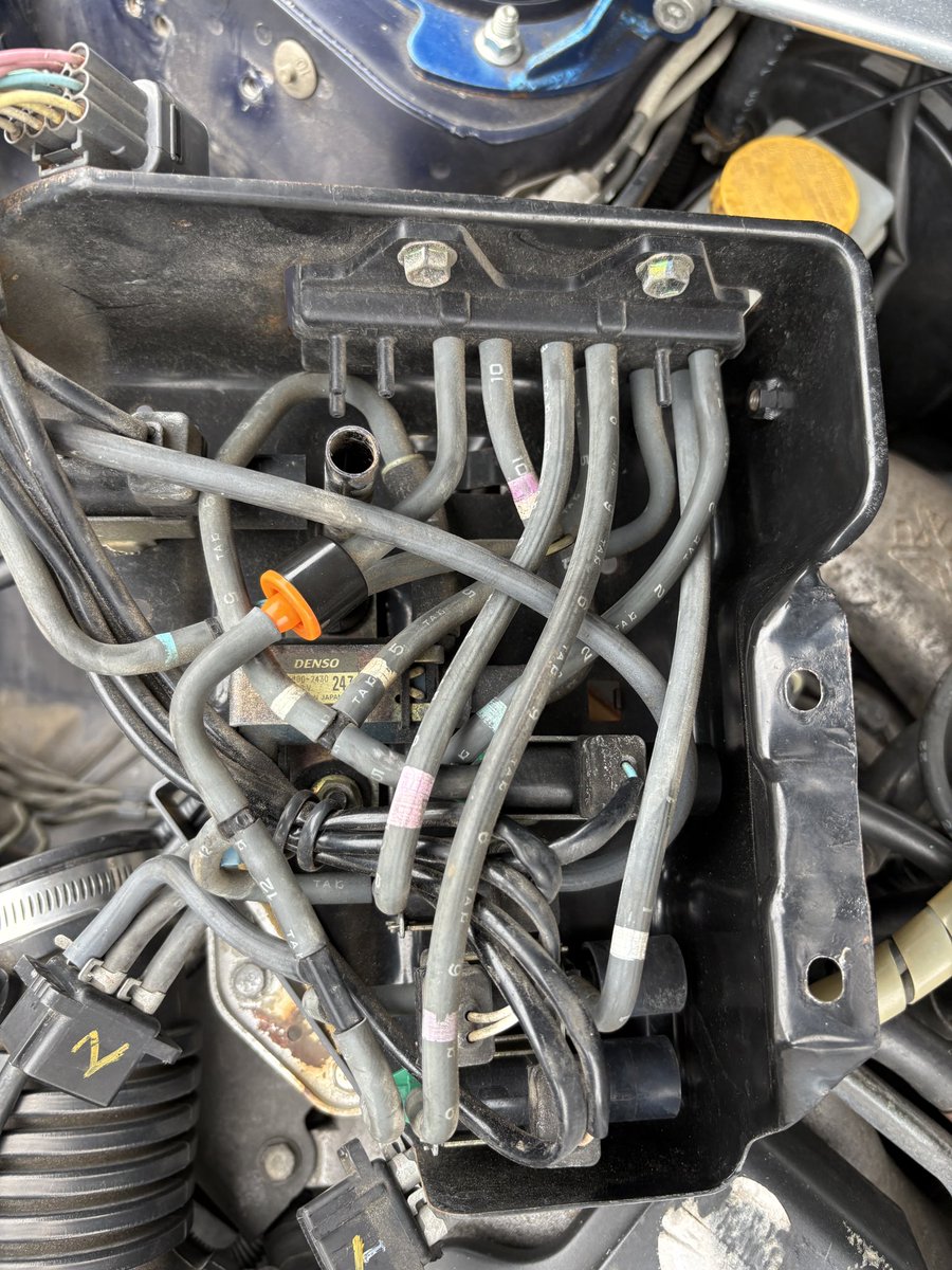 よるね tweet media