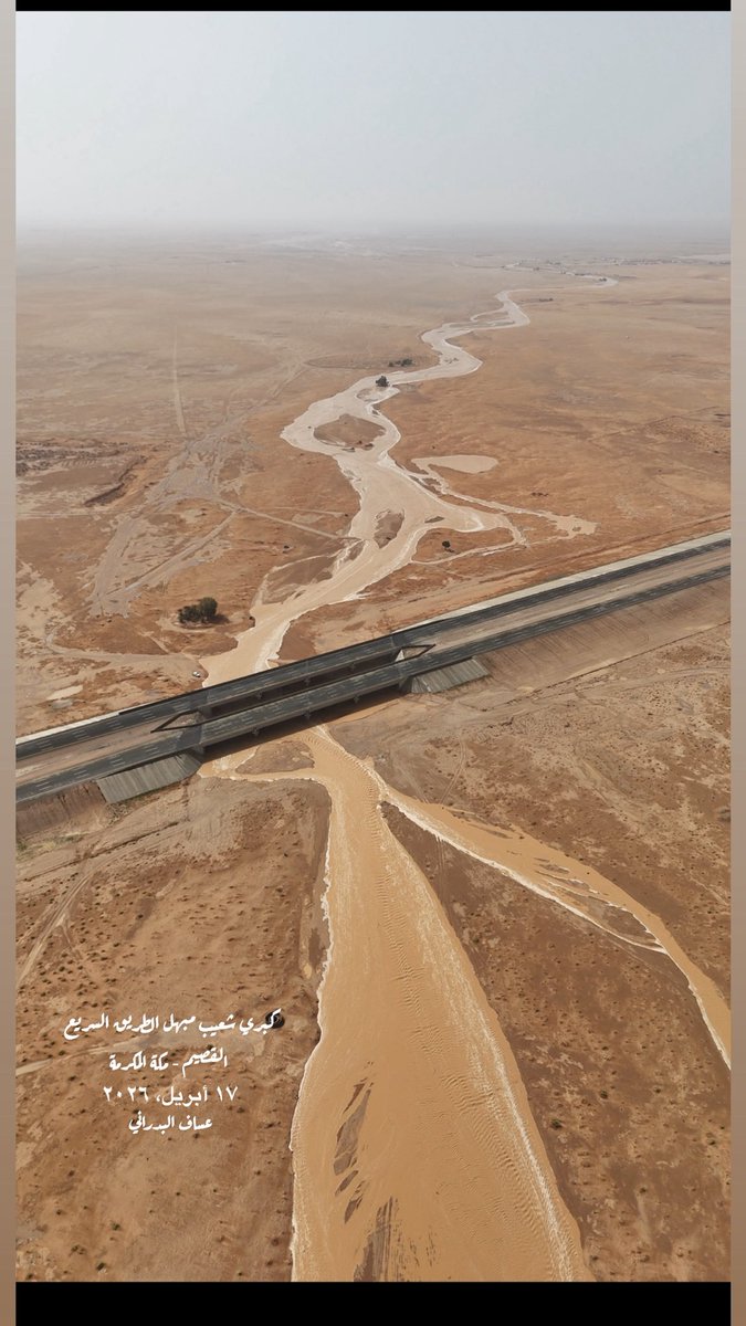 عساف البدراني tweet media