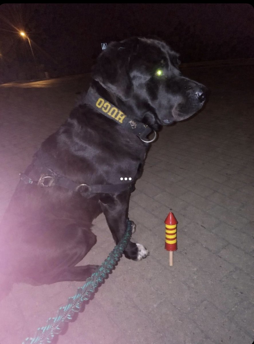 Raj (Unemployed UNC) tweet media