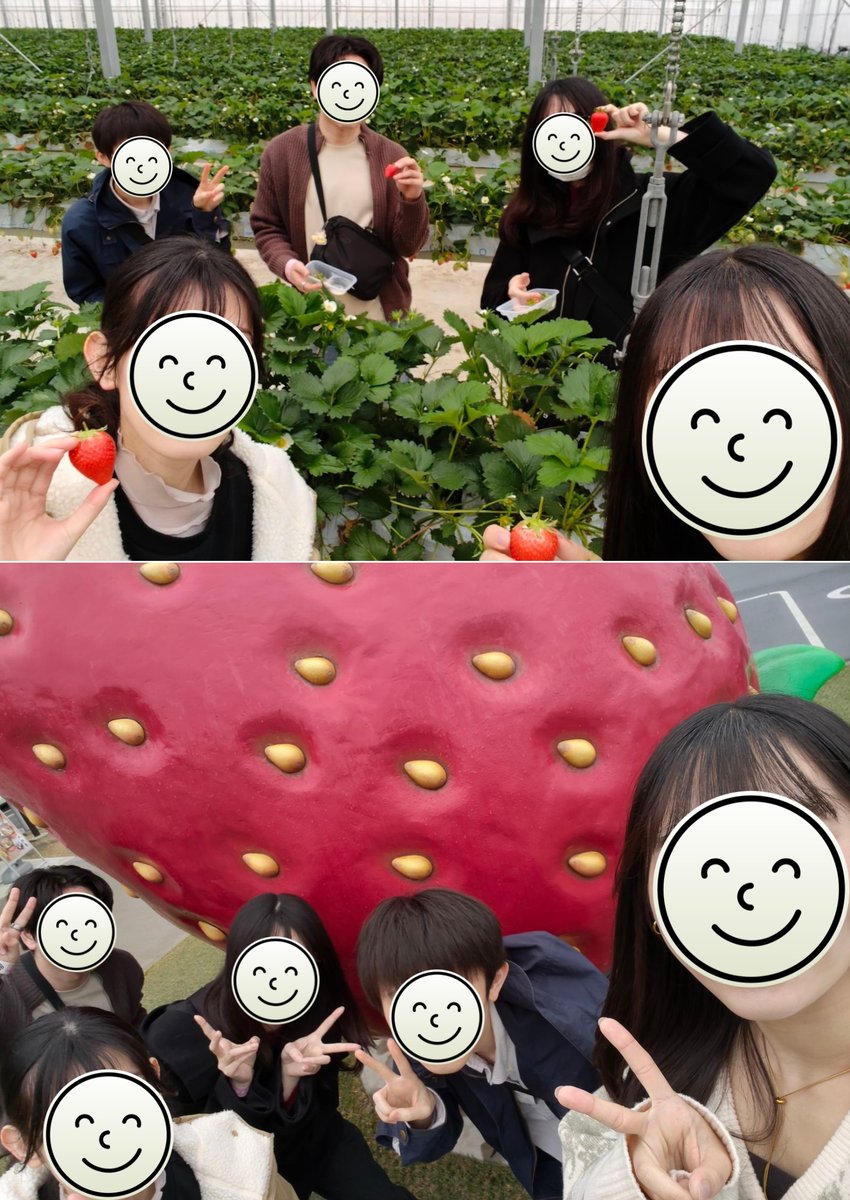 comsoft_corp's tweet photo. ＼🍓同期でいちご狩りへ！／

配属がバラバラでも、
こうして自然に集まれる関係性。

2年目社員が、社員交流制度を活用して
いちご狩りに行ってきました✨

コムソフトでは、プロジェクトをまたいだ交流を
会社としてサポートしています。

3名以上での交流に対して
一人あたり5,000円補助＆回数制限なし🙌

「人とのつながりを大切にしたい」
そんな方にフィットする環境です。

#27卒 #28卒
#新卒採用 #働く環境
#同期 #会社の雰囲気 #いちご
#コムソフト株式会社