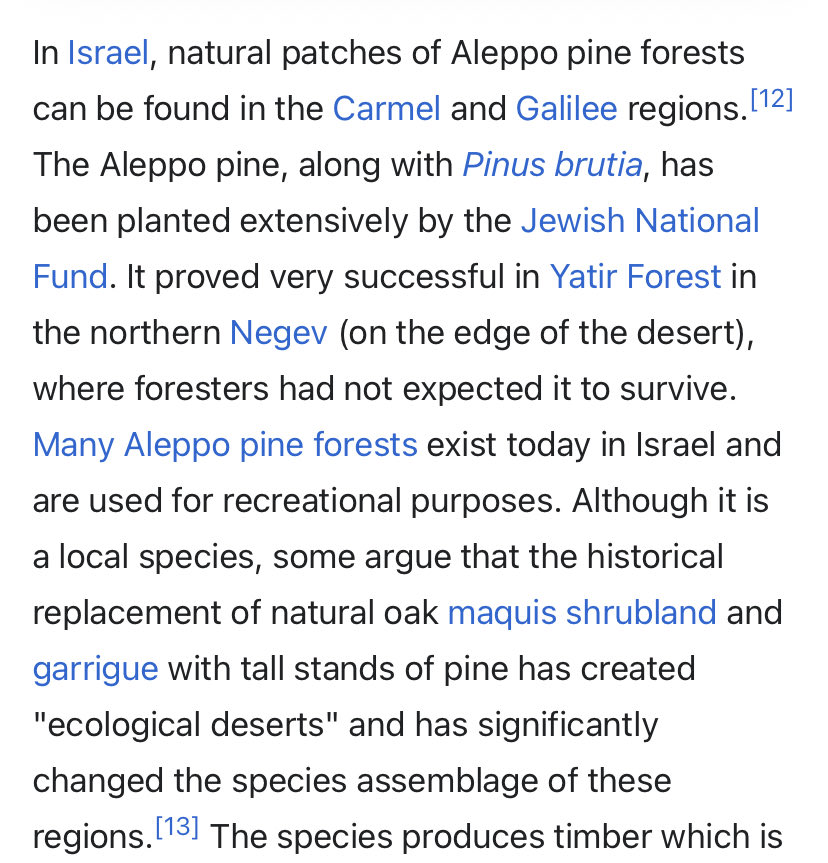 Uncle Anoosh tweet media