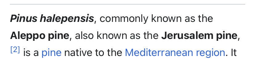 Uncle Anoosh tweet media