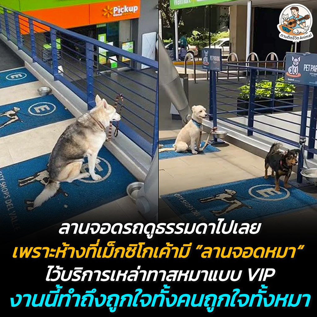 ตามติดชีวิตAnimal tweet media