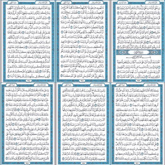 زهـــور🪷 tweet media