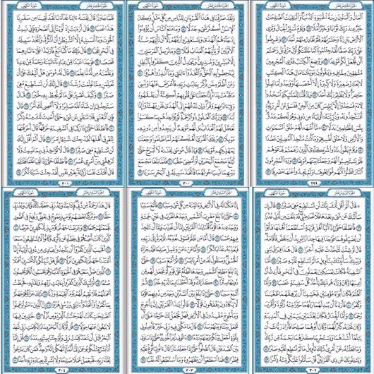 زهـــور🪷 tweet media