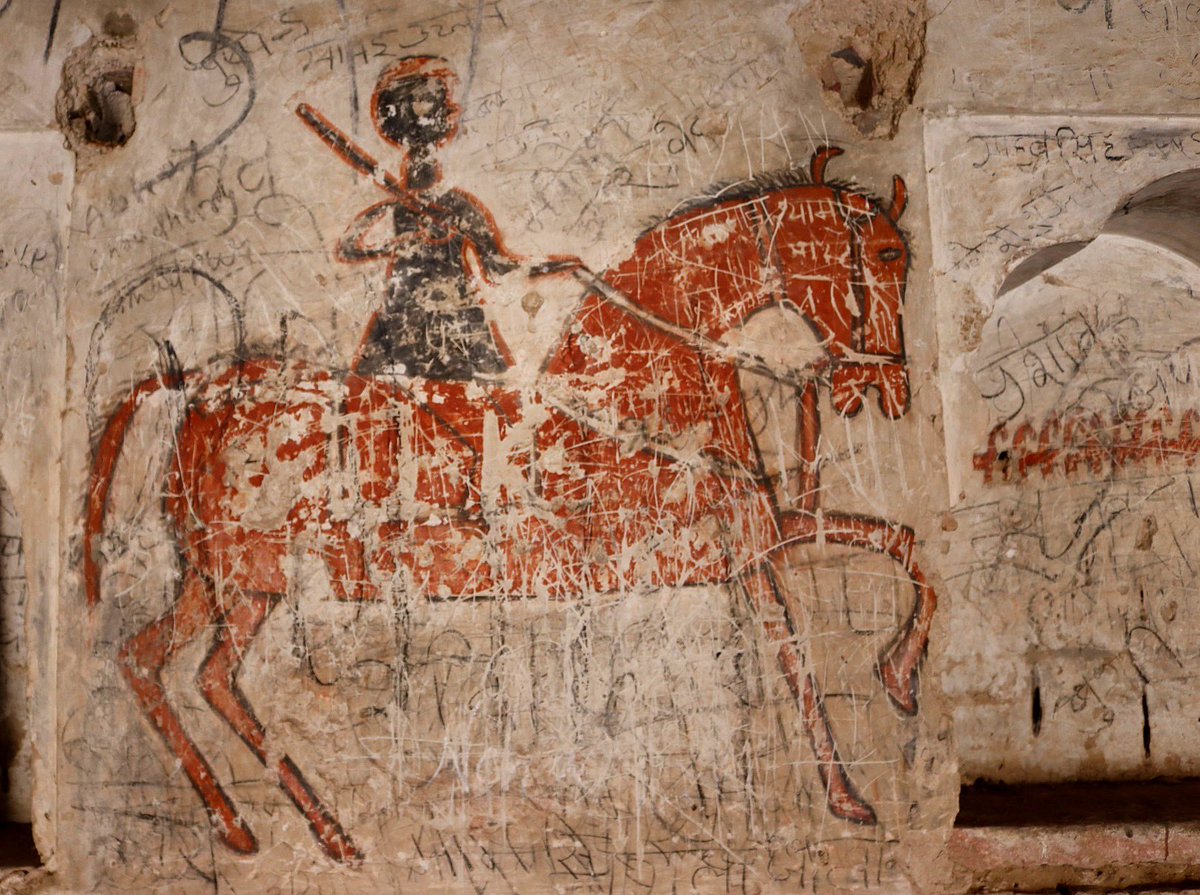 Helen Ibbott 💙📸📖 tweet media