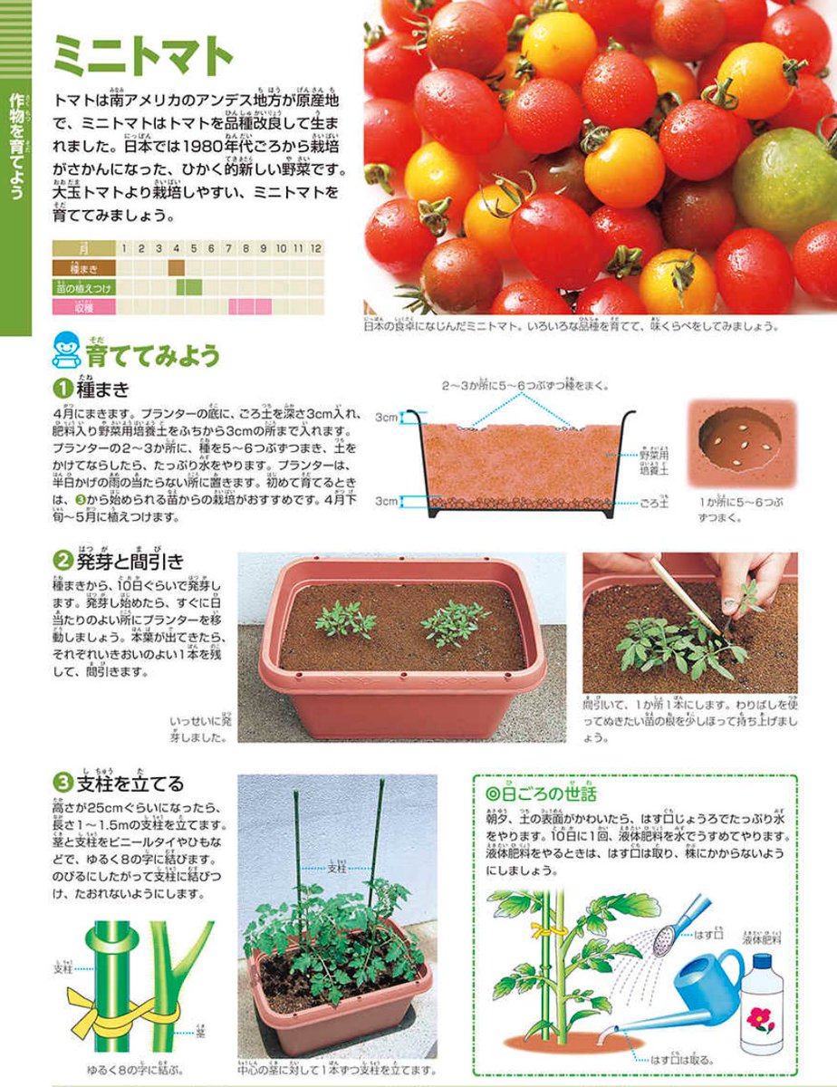 小学館の図鑑NEO tweet media