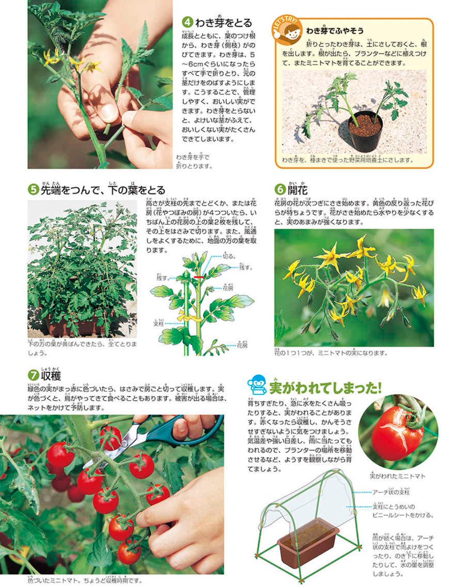 小学館の図鑑NEO tweet media