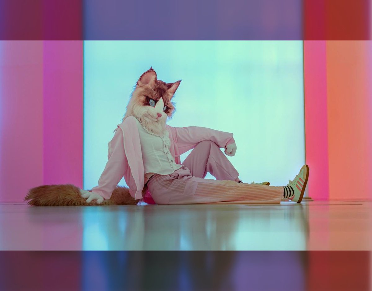 Yako➡️FurryJOA🇰🇷 tweet media