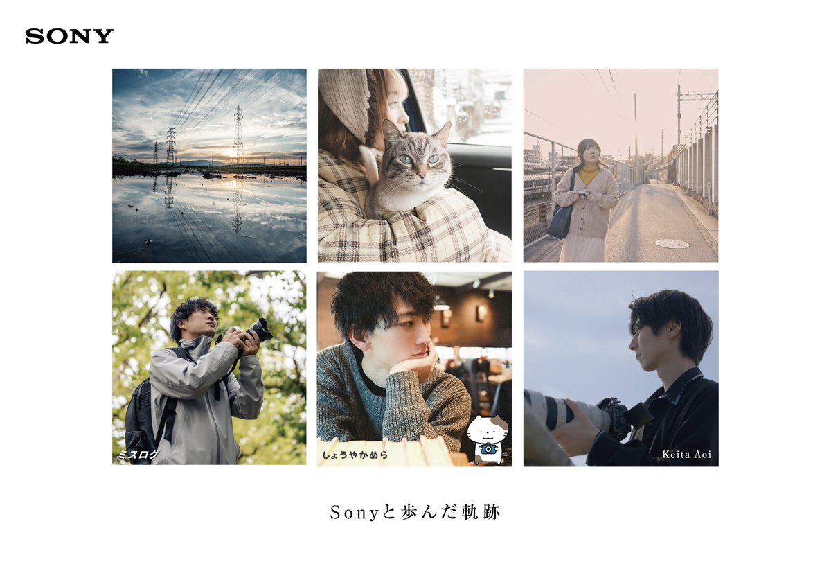 ミスログ tweet media