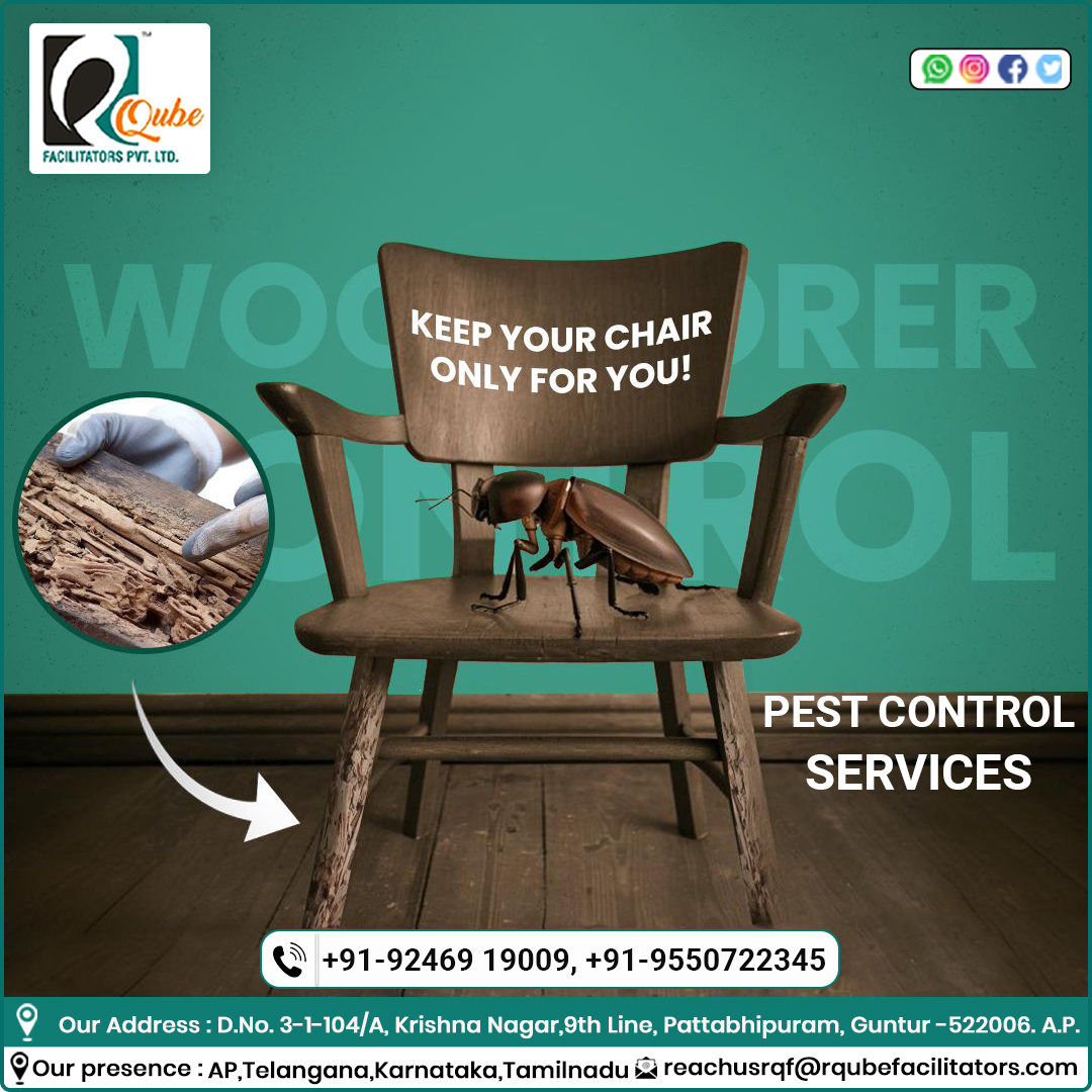 r_qube's tweet image. 🪑 𝙆𝙀𝙀𝙋 𝙔𝙊𝙐𝙍 𝘾𝙃𝘼𝙄𝙍 𝙊𝙉𝙇𝙔 𝙁𝙊𝙍 𝙔𝙊𝙐!
🚫🐜🚫🐀
🛡️ 𝙋𝙀𝙎𝙏 𝘾𝙊𝙉𝙏𝙍𝙊𝙇 𝙎𝙀𝙍𝙑𝙄𝘾𝙀𝙎

𝑪𝒐𝒏𝒕𝒂𝒄𝒕 𝒖𝒔 : +91-92469 19009, +91-95507 22345

#PestControl #PestFree #PestControlServices #NoMorePests #CleanHome #HealthyLiving #SafeHomes #BugFree