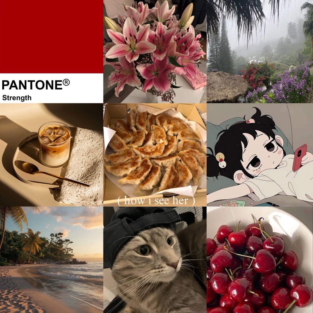 q tweet media