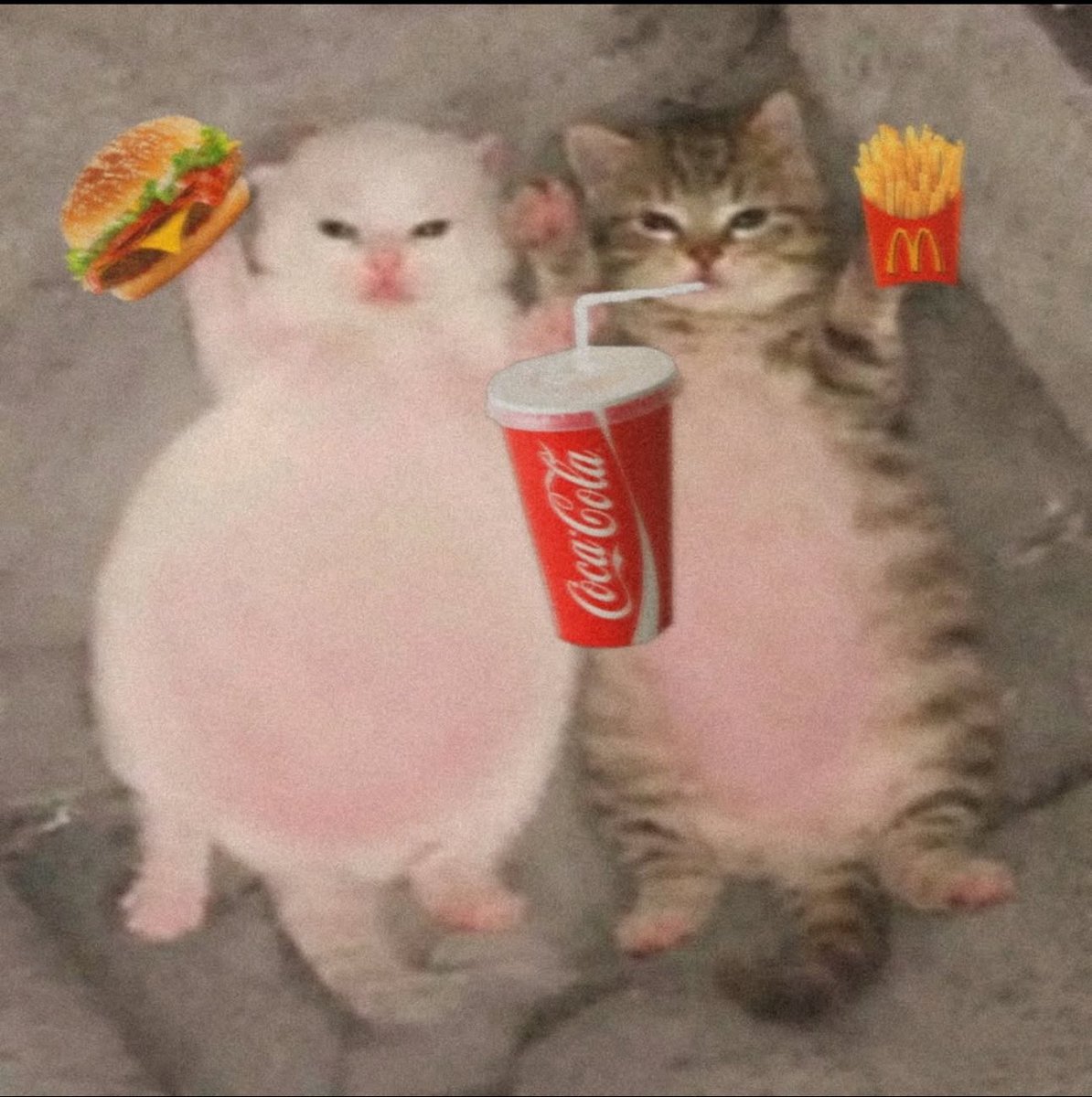 ほりゅあかぎ tweet media