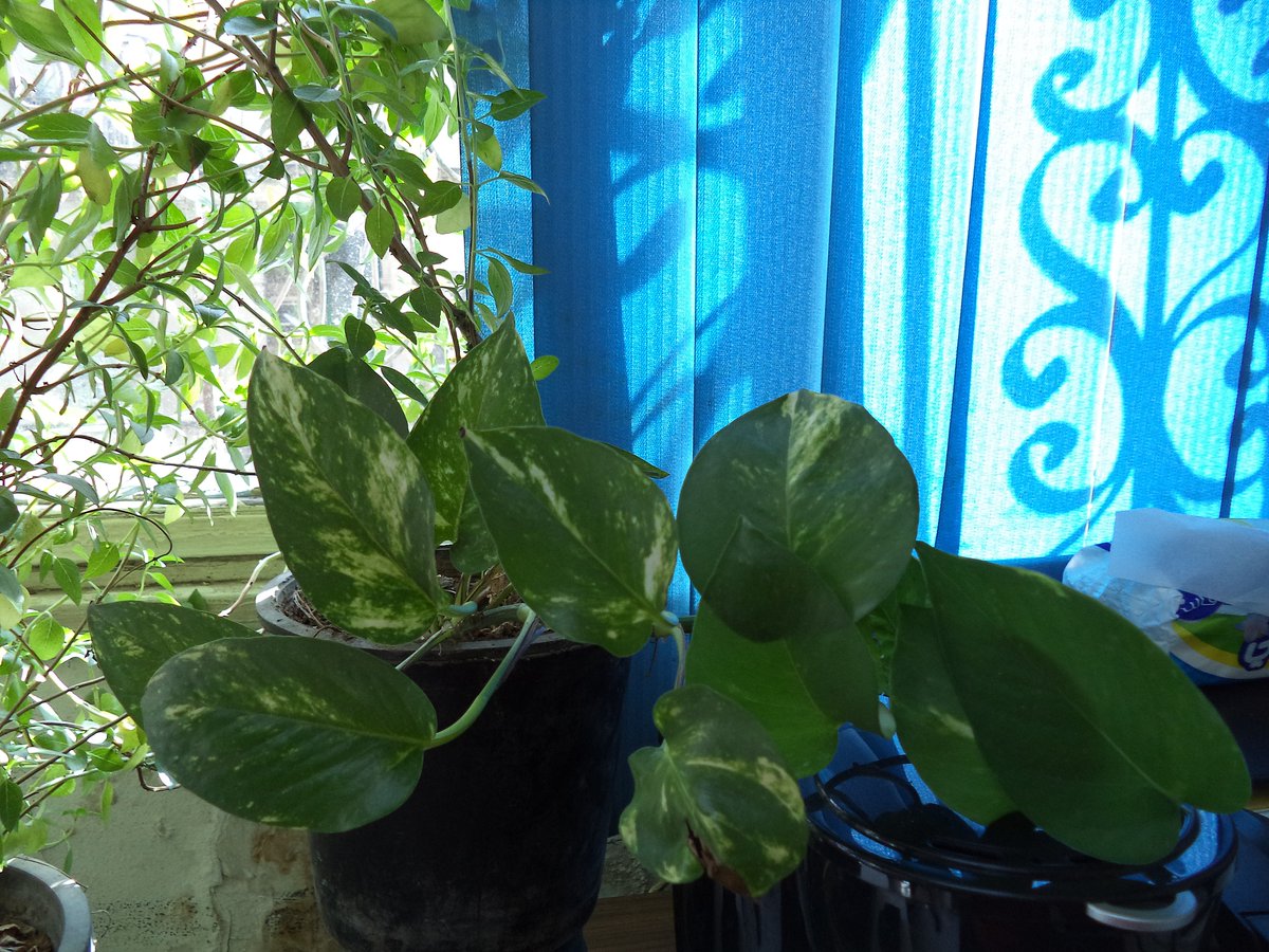 Delvonna Porter tweet media