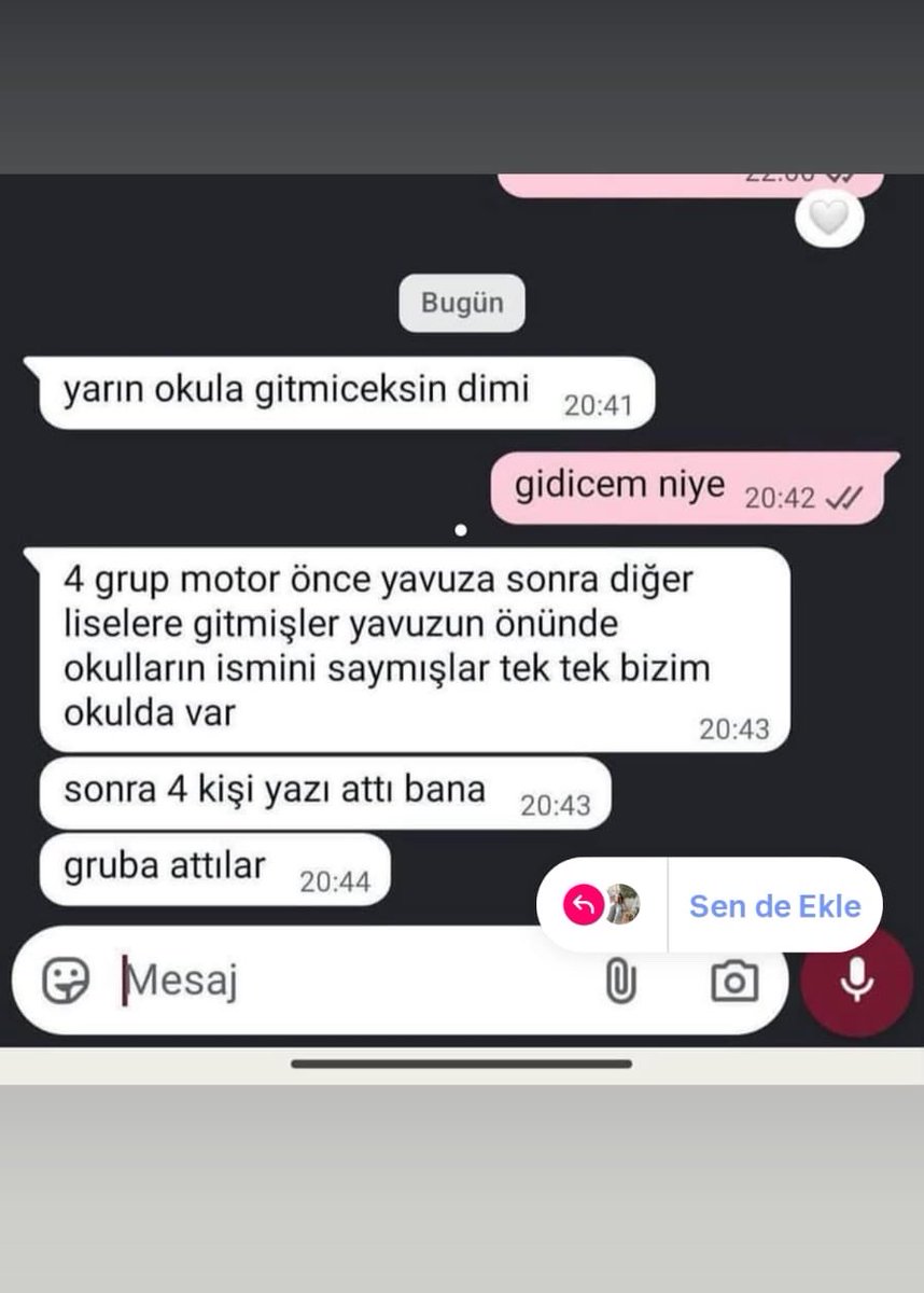 TheBertilda tweet media