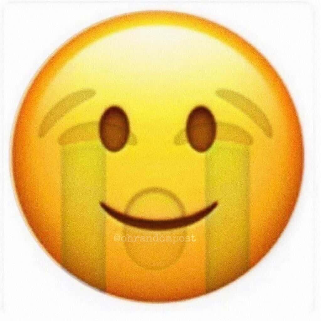 조땡땡 tweet media