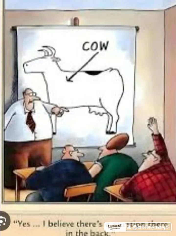 Dane Princess tweet media